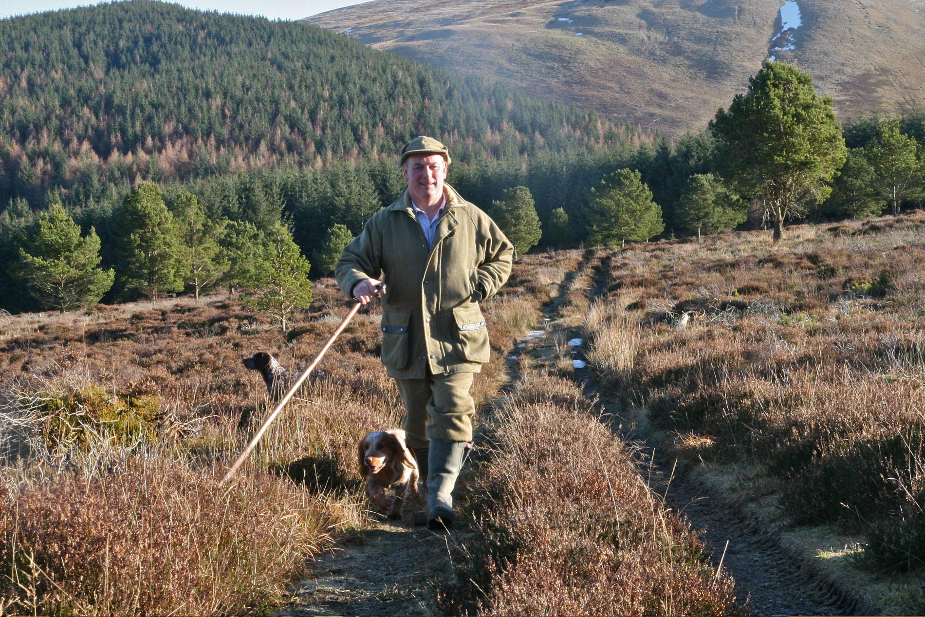 search sga chairman alex hogg speaks following the deer review