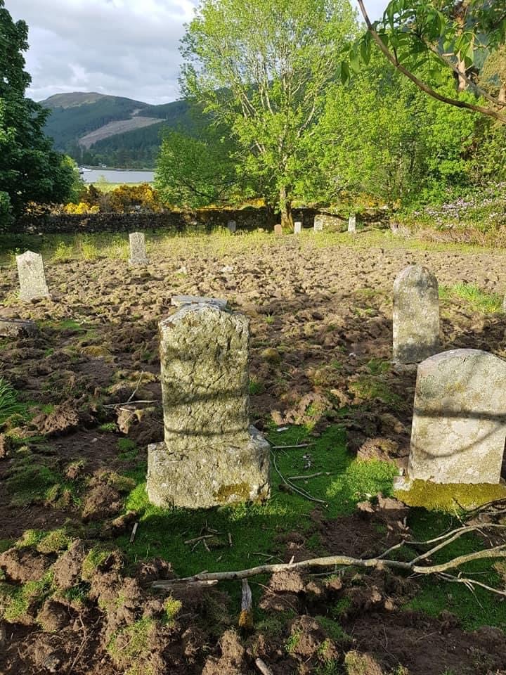 Wild boar entered Kilfinnan Cemetery, damaging the graveyard.