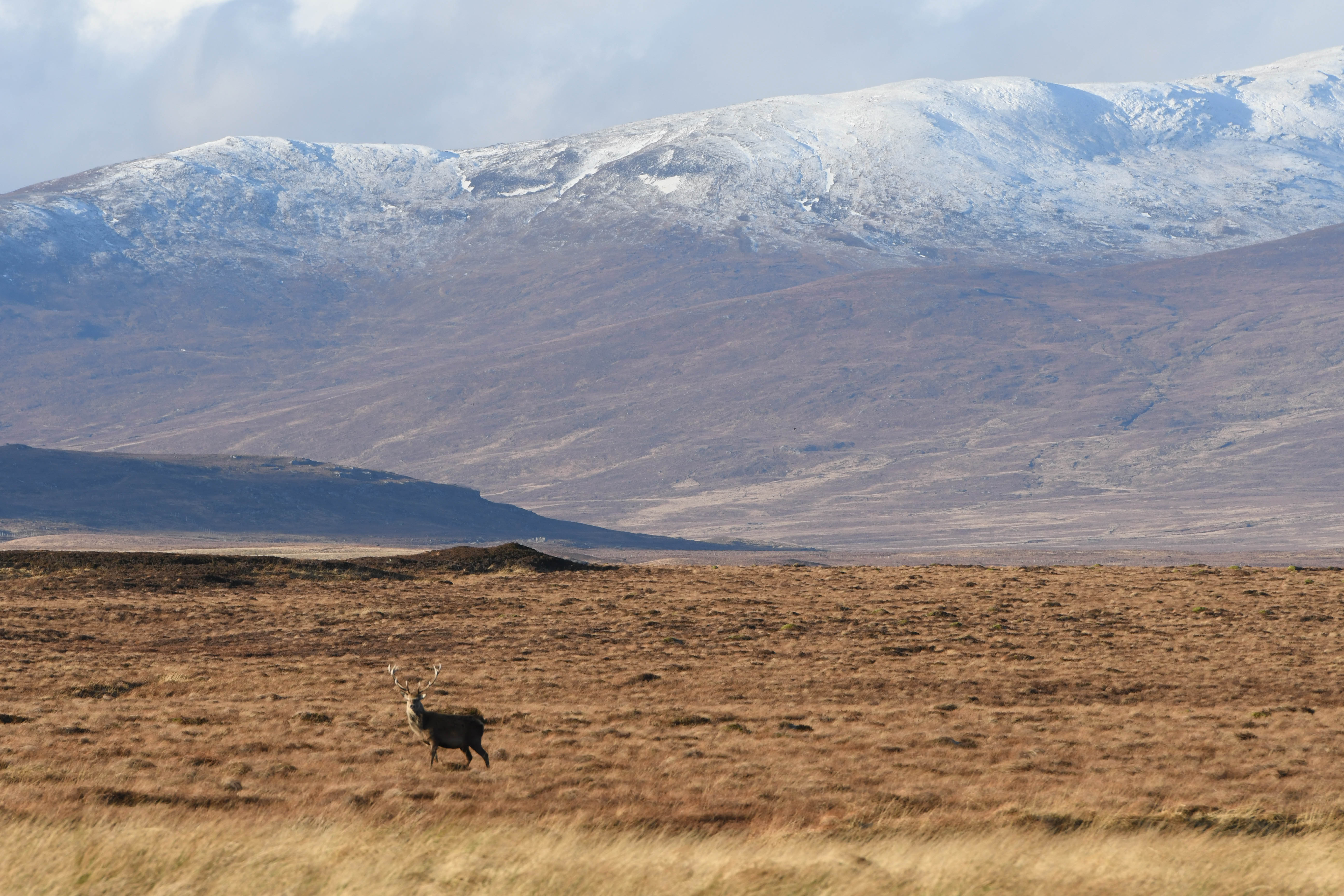 Scotland's gamekeepers lobbied Government to reverse sporting rates changes