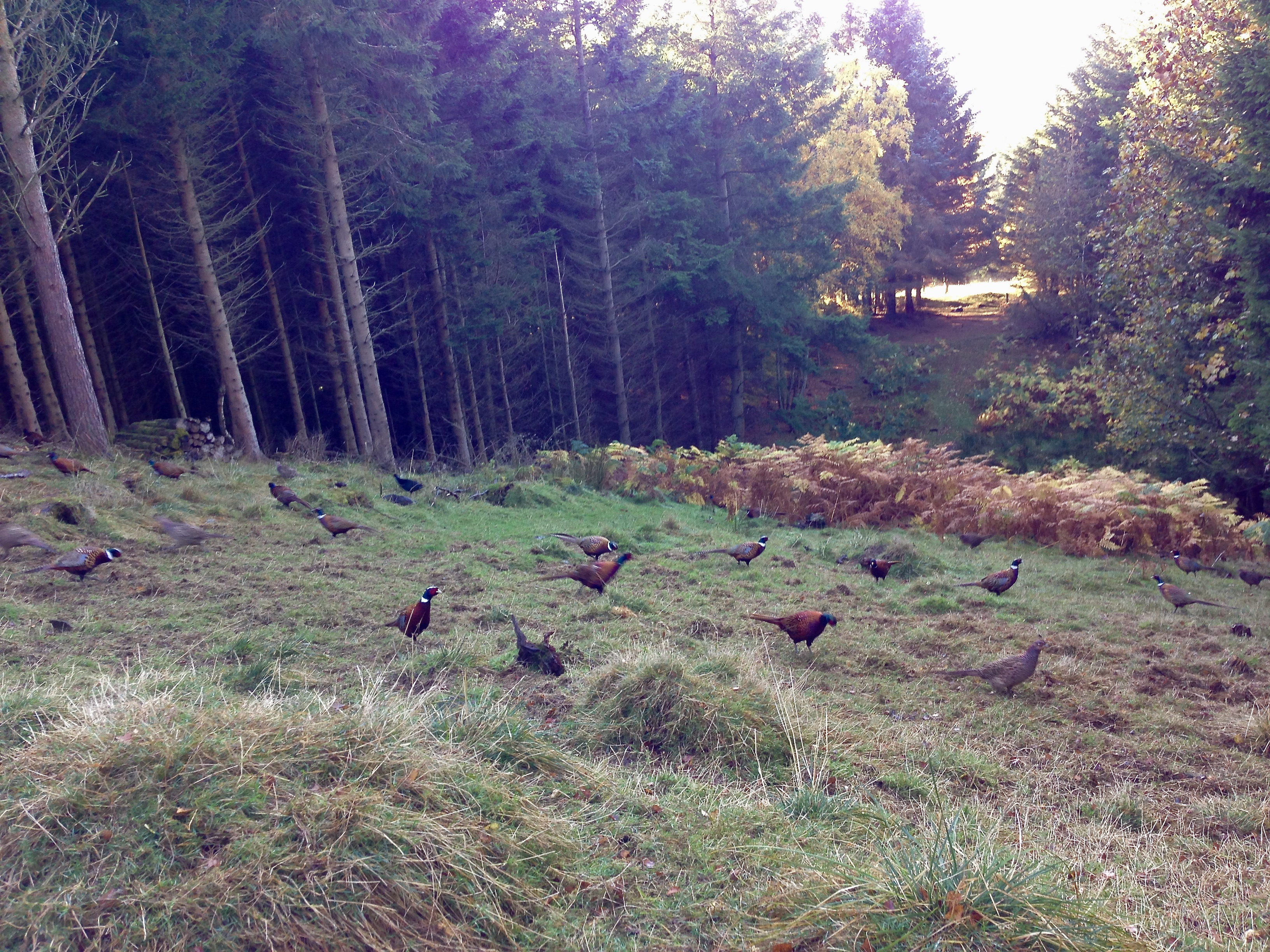 Scotland's gamekeepers are ready to support members over the loss of rates reliefs
