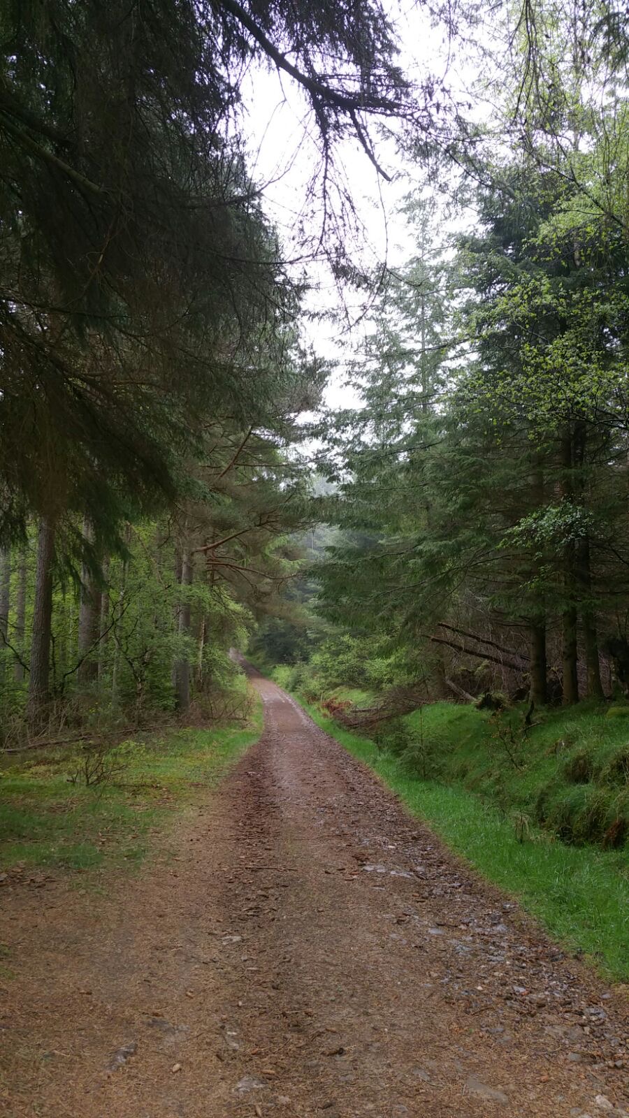A Survey by Scotland's gamekeepers into Access and Deer Management has led to an inquiry by the Rural Affairs Committee
