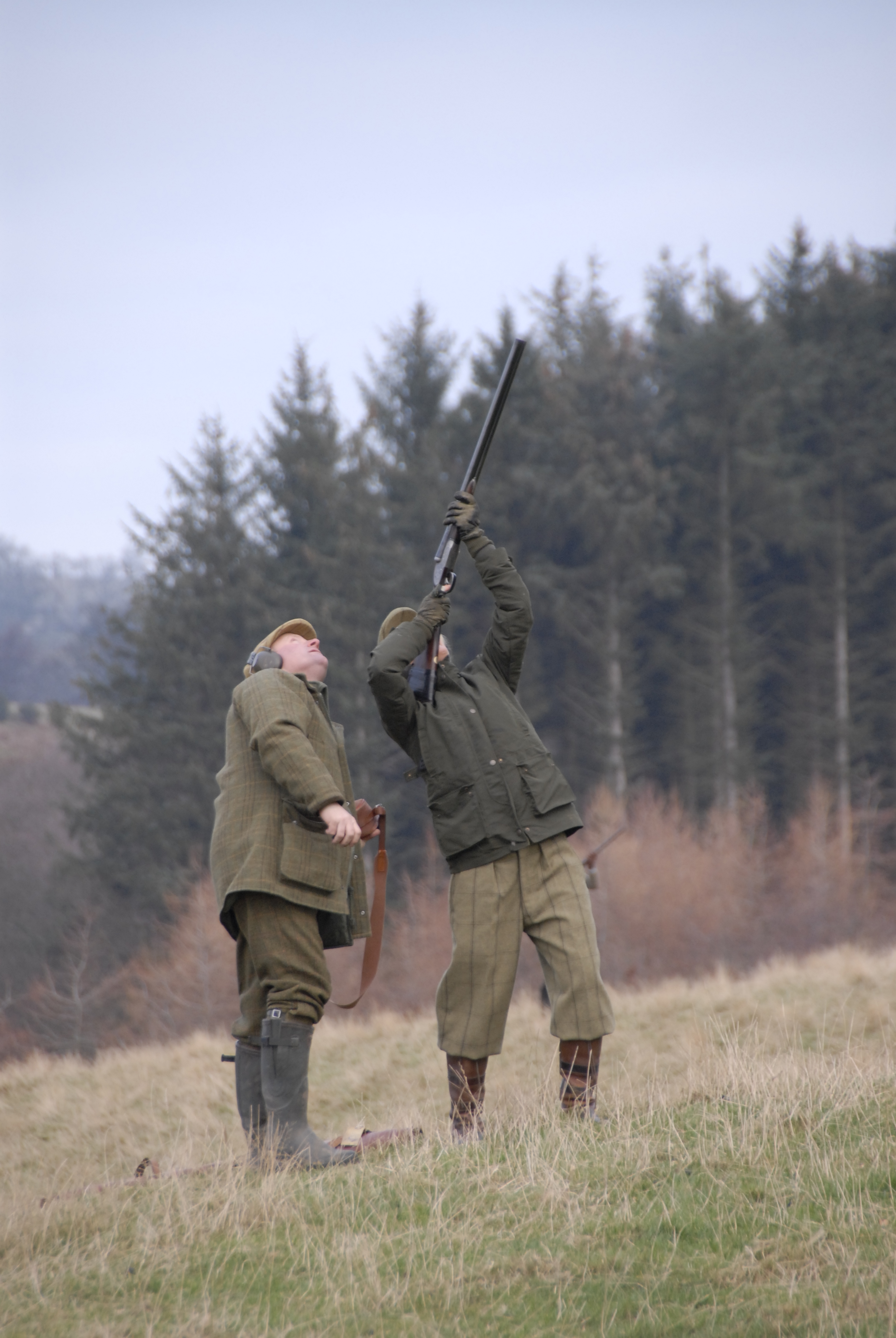 Scottish gamekeepers have told DEFRA's gamebird release consultation that standards are high within the low ground sector due to greater regulation and scrutiny