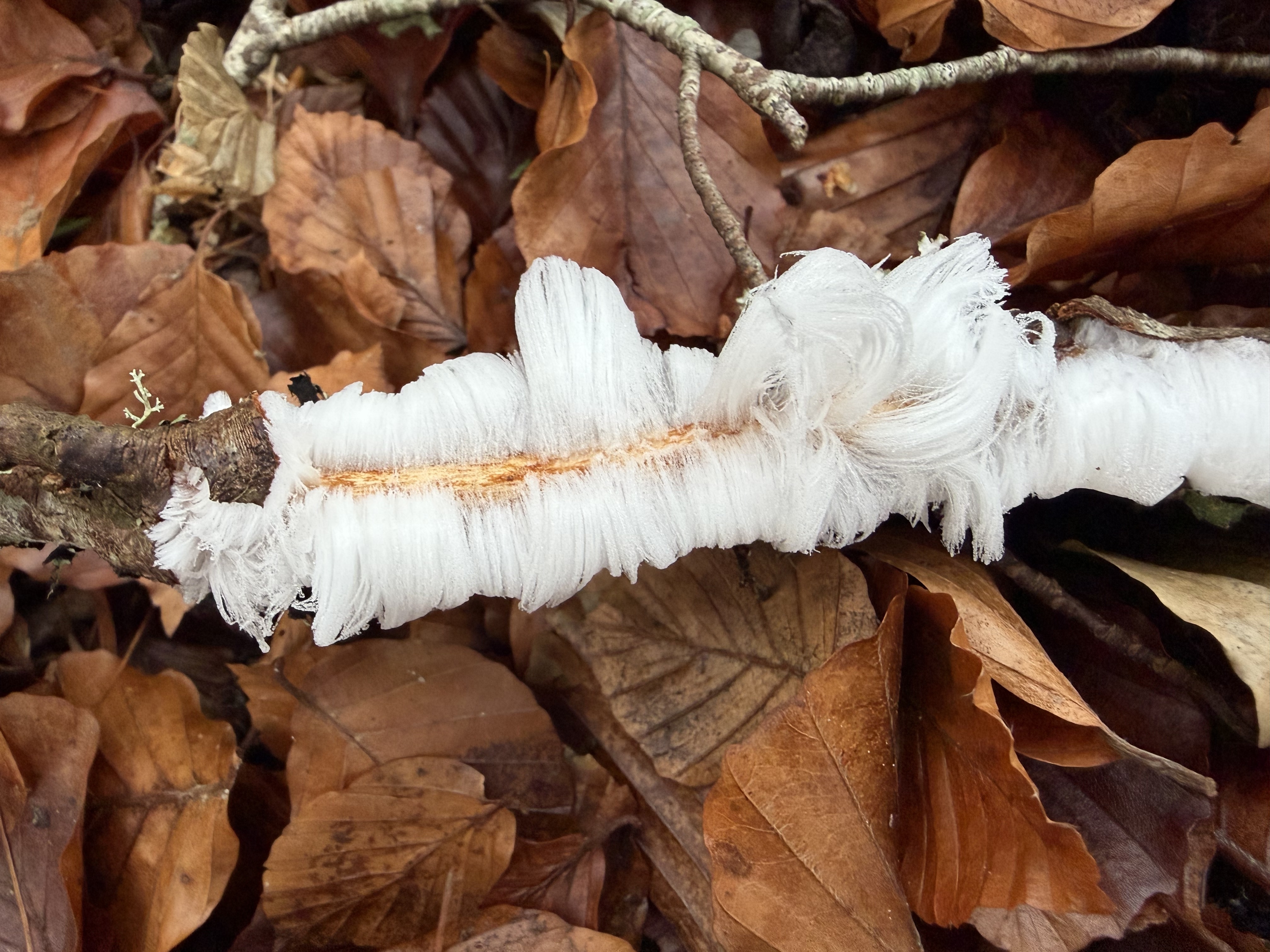 Gamekeepers in Scotland are laying out plans for the year ahead