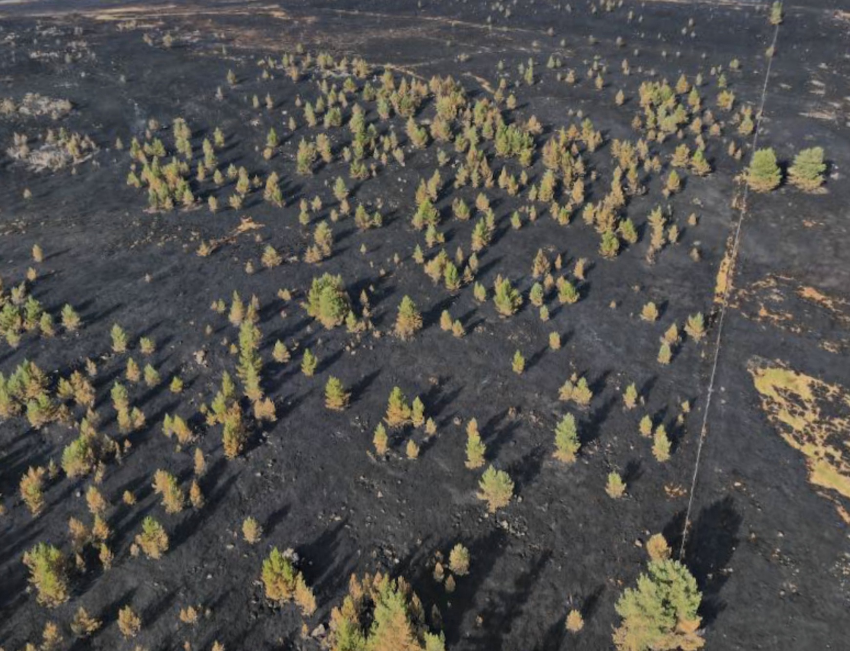 SGA latest news photo