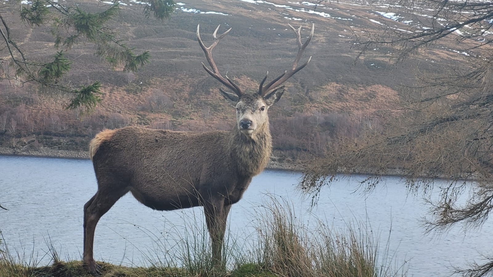Scotland's gamekeepers are inviting bids on memorable highland deer stalking lots