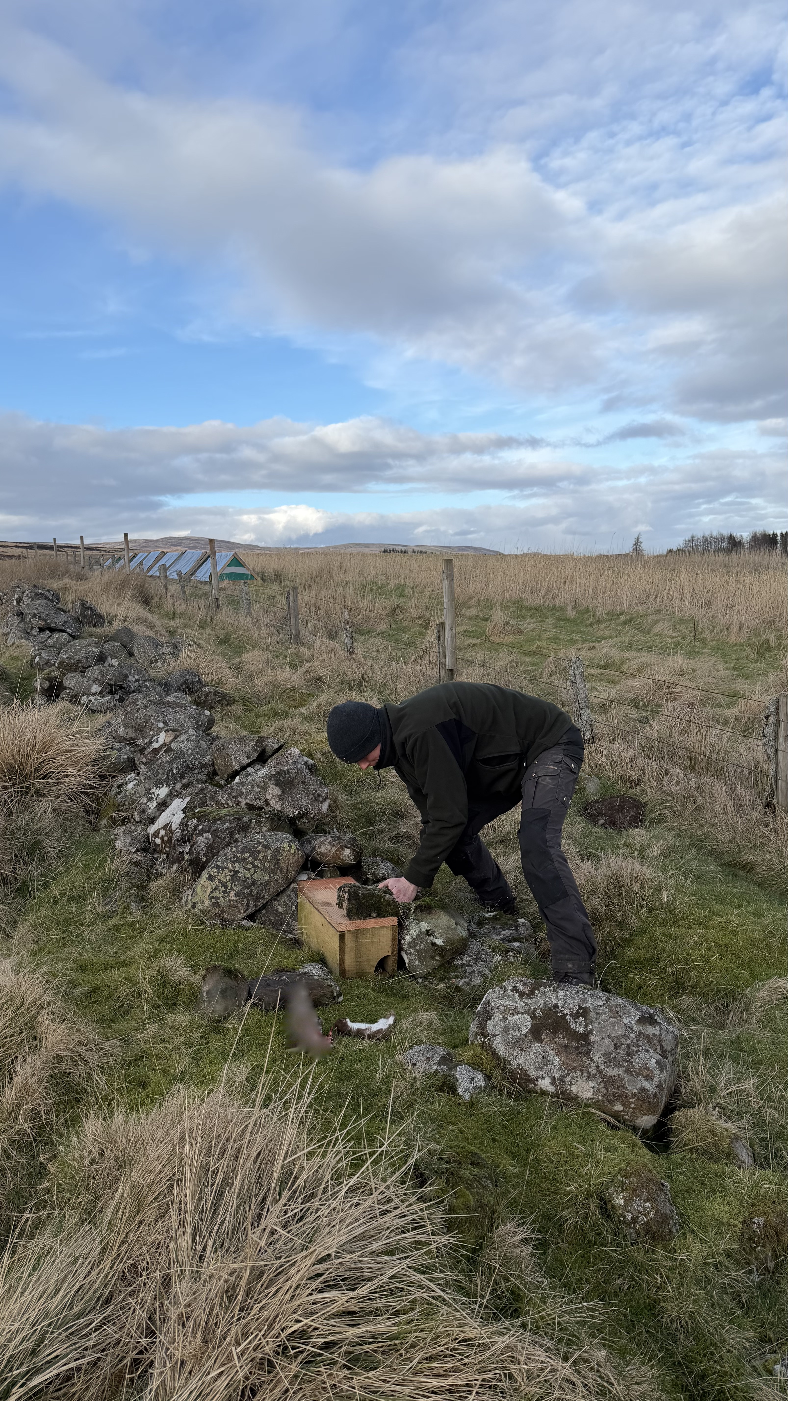 Scottish Gamekeepers Association has trained over 400 people in legal trap training